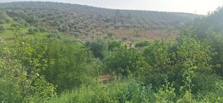 Terreny residencial  Travesía consolación. Terreno en travesía consolación, torredonjimeno jaén
