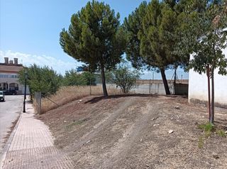 Terreny residencial  Calle infanta catalina. Terreno en calle infanta catalina, jaén
