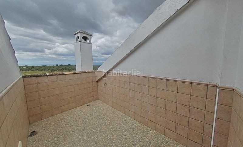 Foto 9a4fbf75-6088-47e9-9e9a-8de365dce516. Pis a Baeza