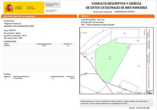 Terreno residencial en Beas de Segura. Olivar en venta  los yesares peal de becerro, jaén