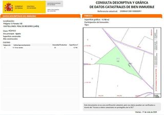 Terreny residencial a Peal de Becerro. Olivar en venta  los yesares peal de becerro, jaén