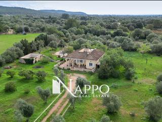 Chalet  539 parcela 12. Encantadora casa con piscina y 8300m2 de parcela en llucmajor
