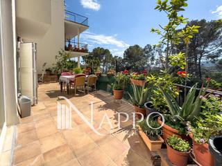 Pis  07015. Espectacular planta baja muy luminosa en la bonanova con vistas