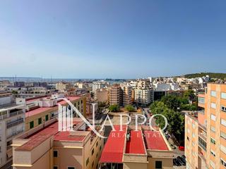 Rent Flat  Joan crespi. Precioso piso con terraza y  vistas inigualables a la catedral y