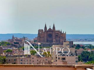 Location Appartement  Joan crespi. Precioso piso con terraza y  vistas inigualables a la catedral y