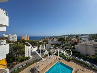 Rent Flat  Monaco. Apartamento con impresionantes vistas al mar, balcón y piscina c
