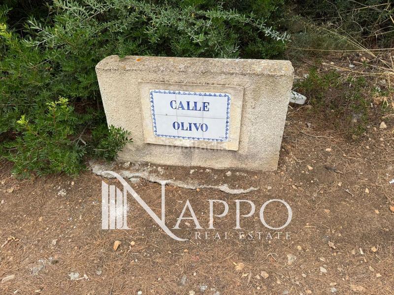 Foto 484676ec-02ee-4d74-a535-3709ed3a5a1b. Fondo rustico in Betlem Artà