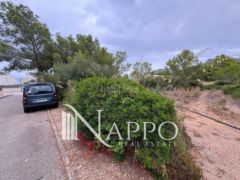 Foto 4984eca2-851b-473a-9e20-17af31380ca8. Fondo rustico in Betlem Artà