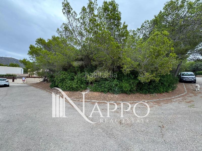 Foto ee180202-e460-4670-a685-686d1e5e68b3. Fondo rustico in Betlem Artà