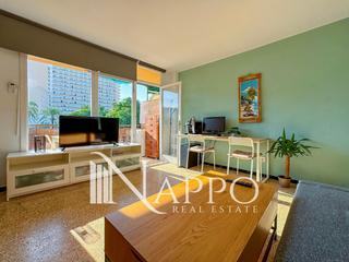 Pis  Notari alemany. Acogedor estudio en magaluf