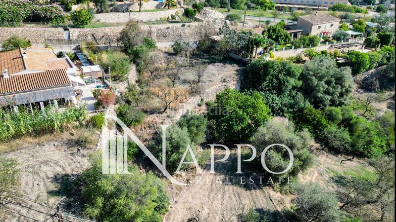 Foto 98bc30c9-afda-4949-9a03-d64150292242. Terreno residencial amplio terreno urbano en venta en calviá en Calvià