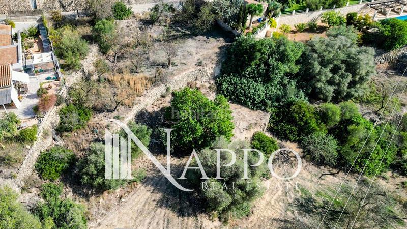 Foto a1172a86-4eed-402c-811c-dc4e8b444416. Terreno residencial amplio terreno urbano en venta en calviá en Calvià
