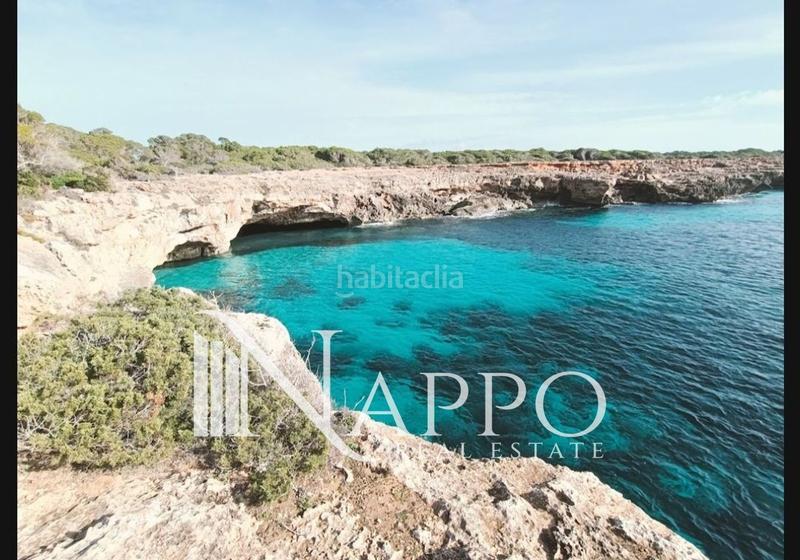 Foto 6f52cf02-812b-4a1e-88e5-bbe2a6a4742b. Propriété dans Cala Pi-Vallgornera Llucmajor