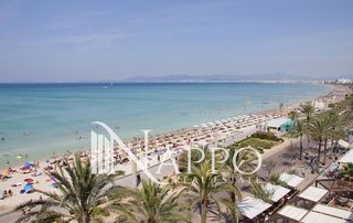 Pis  Nins. Piso a reformar a 200 mts del mar  arenal palma