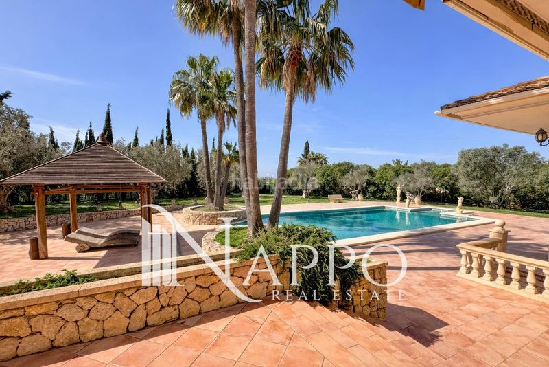 Foto 42126342-5003-40a1-a4a0-a2cacbce4ff9. Casa amb aparcament piscina a Marratxinet Marratxí