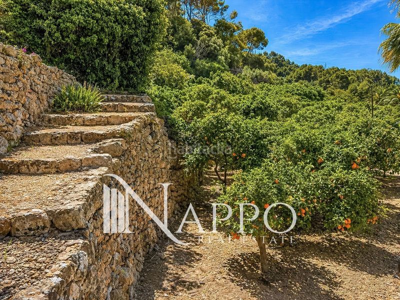Foto aa35d349-720b-43b3-970d-d54ae585c66f. Xalet amb aparcament piscina a Sóller