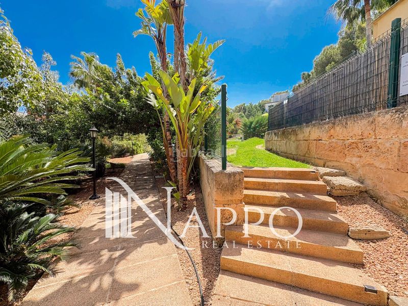 Foto 1b41ca98-dd6f-4372-8769-6d89f168e258. Dúplex amb calefacció aparcament piscina a Santa Ponça Calvià