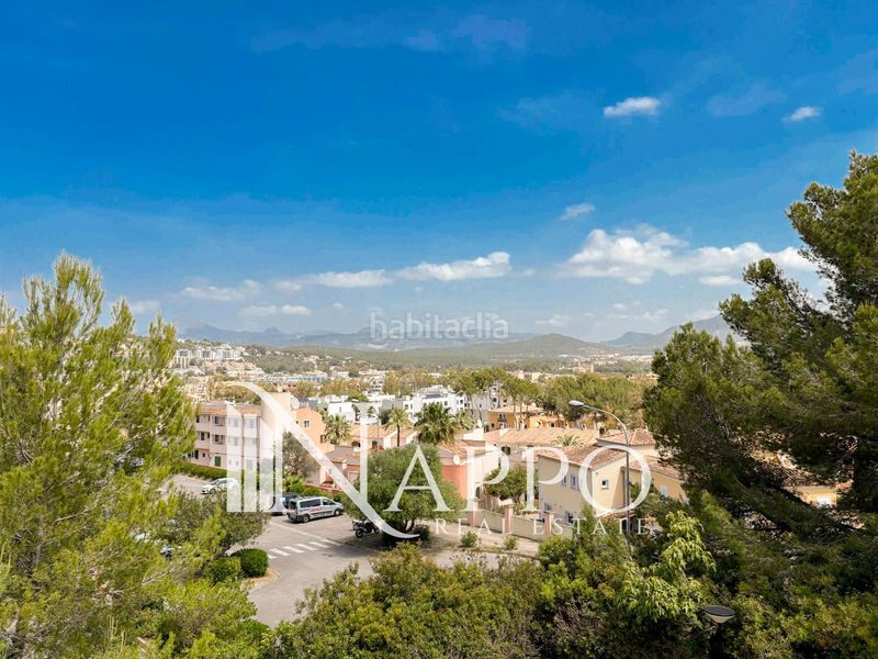 Foto 268bcd57-fa67-4144-9bd1-113957f6b9a5. Dúplex amb calefacció aparcament piscina a Santa Ponça Calvià