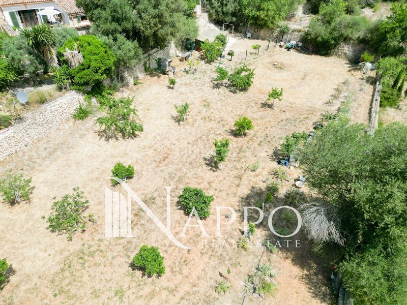Foto 046a1ba2-f46c-4ab8-ab0e-926700411d10. Finca rústica a Calvià poble Calvià