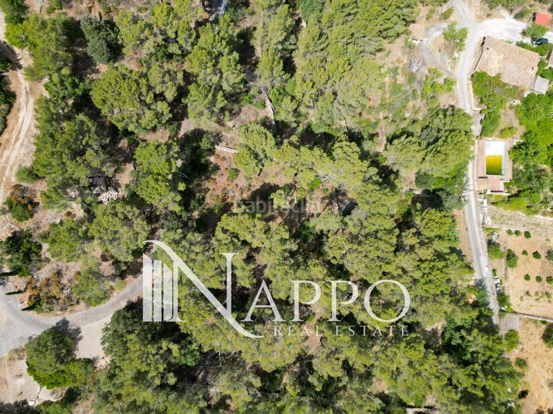 Foto 12506f8c-404f-4207-bf59-aa4cc3f48e10. Finca rústica a Calvià poble Calvià