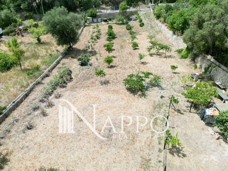 Foto b03c573a-c209-40e0-86c0-8c699345647c. Finca rústica a Calvià poble Calvià