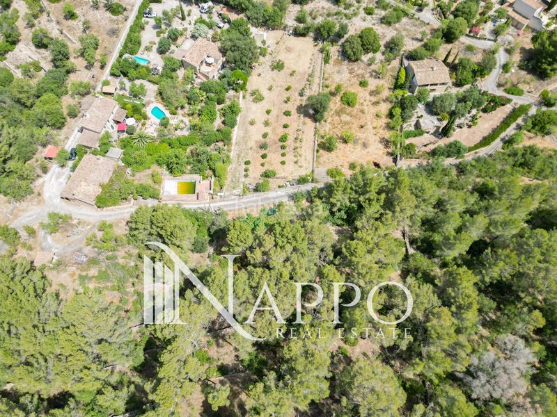 Foto b8c1dc34-6692-4370-bb57-c930838d9f74. Finca rústica a Calvià poble Calvià