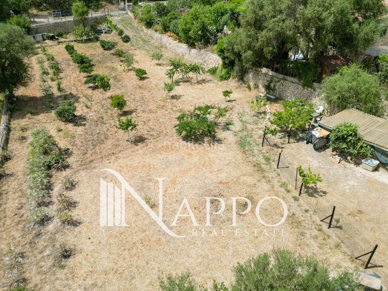 Foto e6d26587-81f9-4b6a-a714-30e323d09de6. Finca rústica a Calvià poble Calvià