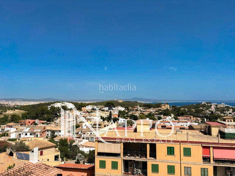 Foto 57c6640a-b057-4c48-9ec8-e0544c707006. Dúplex amb aparcament piscina a Gènova Palma de Mallorca