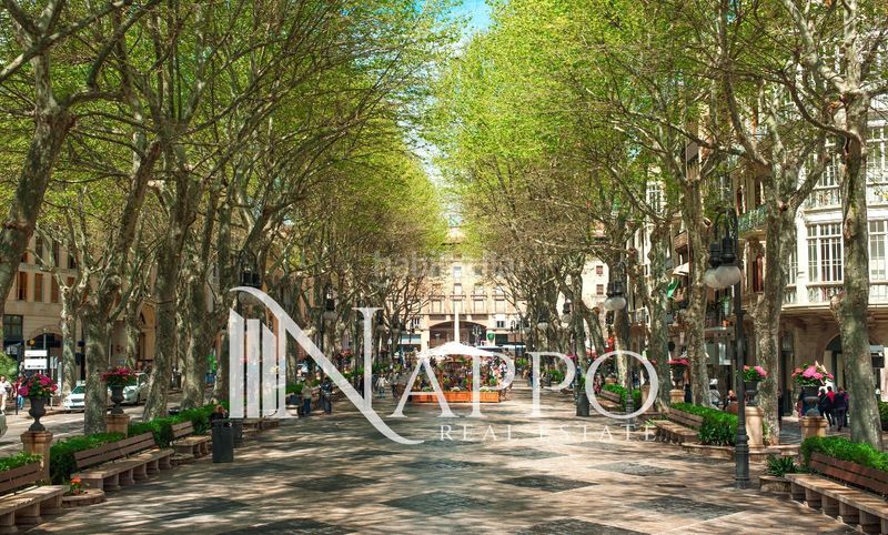 Foto f5e5233c-3f09-42db-8c5b-c6b44e9a6945. Piso exclusivo apartamento de obra nueva con terraza en calle manacor en Palma de Mallorca
