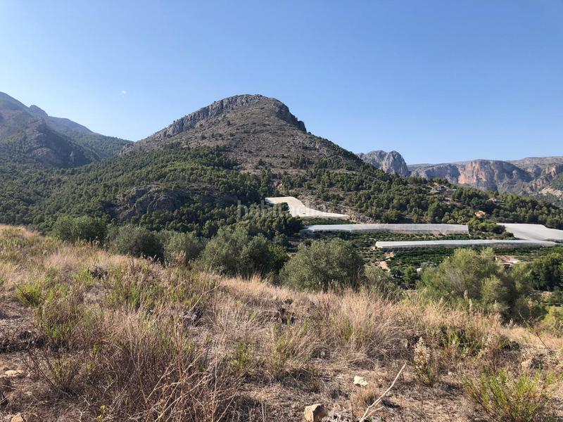 Foto 3f81e6fb-824f-4aaf-a0d0-05bec6626d0d. Finca rústica a Bolulla