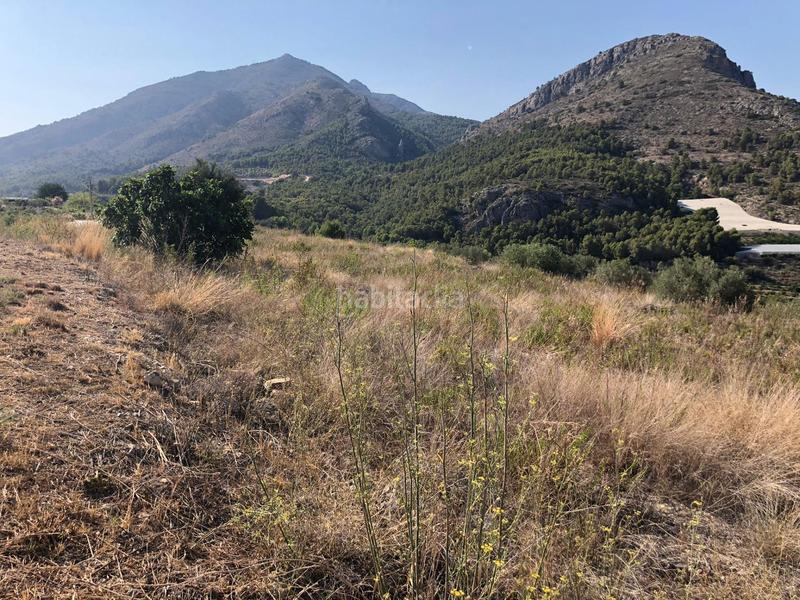 Foto 44f2419e-919b-4430-a673-3d50c40bd927. Finca rústica a Bolulla