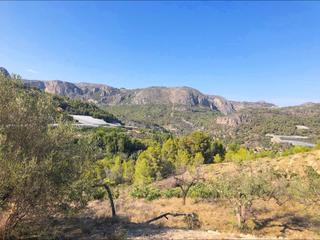 Finca rústica a Bolulla. Terreno rústico de más de 10.000 m  en bolulla
