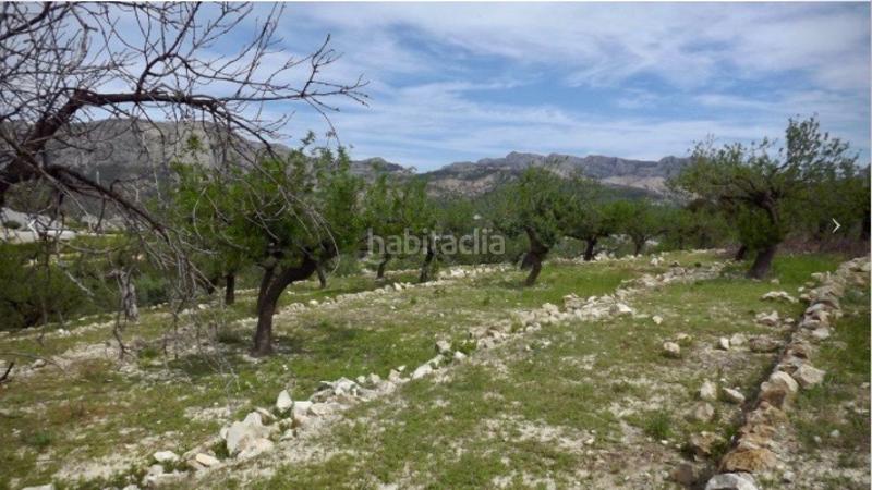 Foto f5a9fac2-000c-4559-a6bc-11a663c33d7e. Finca rústica a Bolulla