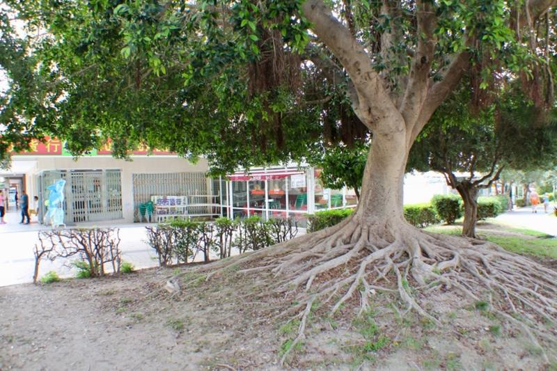 Foto bc4b9cf6-aaf4-4a34-80f1-31eb9c0a318b. Locale commerciale in Playa Levante Benidorm