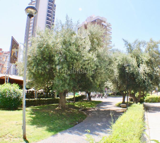 Foto 6f535a20-8be0-45fe-8ad0-421bb687c223. Geschäftsraum in Levante Alto Benidorm