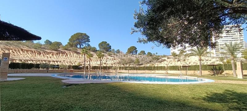 Foto 540d236c-86bf-4a00-885e-5ab40539ef24. Appartement avec parking piscine dans Via Parque Benidorm