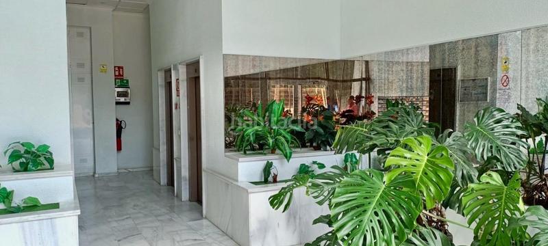 Foto 0a8b1f2b-0e19-41fa-aa4f-633e566259df. Piccolo appartamento in avenida mariners de la villajoyosa 1 in Vila Joiosa (la)