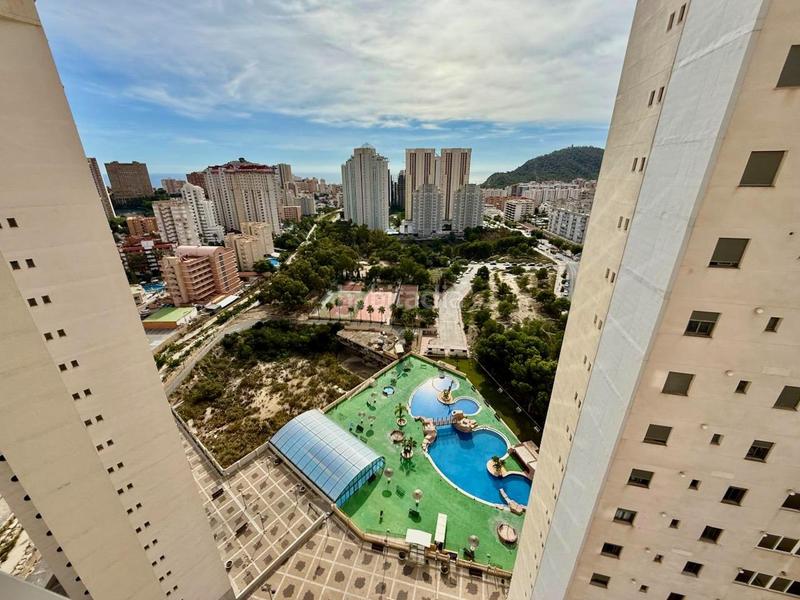 Foto 4957693d-b62d-4e0c-b66c-76baa52fee1a. Piccolo appartamento in avenida mariners de la villajoyosa 1 in Vila Joiosa (la)