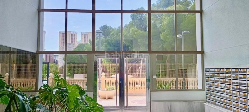 Foto 92a7e181-c734-44fe-a994-8f71a50cfcbc. Piccolo appartamento in avenida mariners de la villajoyosa 1 in Vila Joiosa (la)