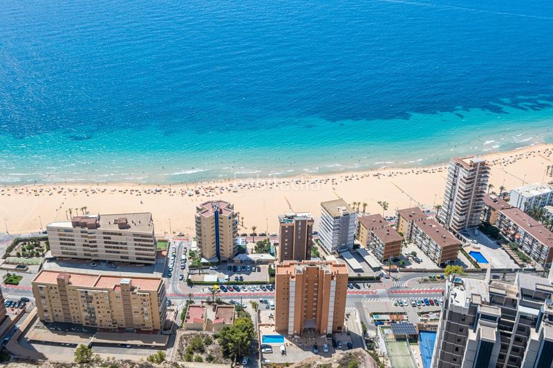 Foto 2766f777-2ff2-4d6c-92a0-a1c6c79d2a87. Àtic amb aparcament piscina a Playa Poniente Benidorm