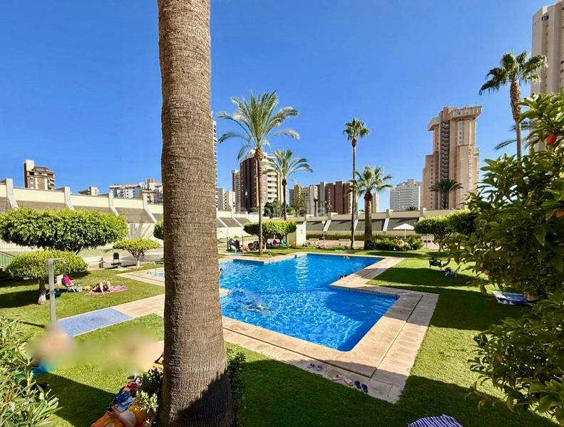 Foto 0eead267-b4bb-4a37-b41b-0437e55dd5b5. Piccolo appartamento con piscina in Levante Alto Benidorm