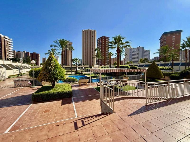Foto 8570bdc6-3cf7-4ba1-b65a-66fe96326e61. Piccolo appartamento con piscina in Levante Alto Benidorm