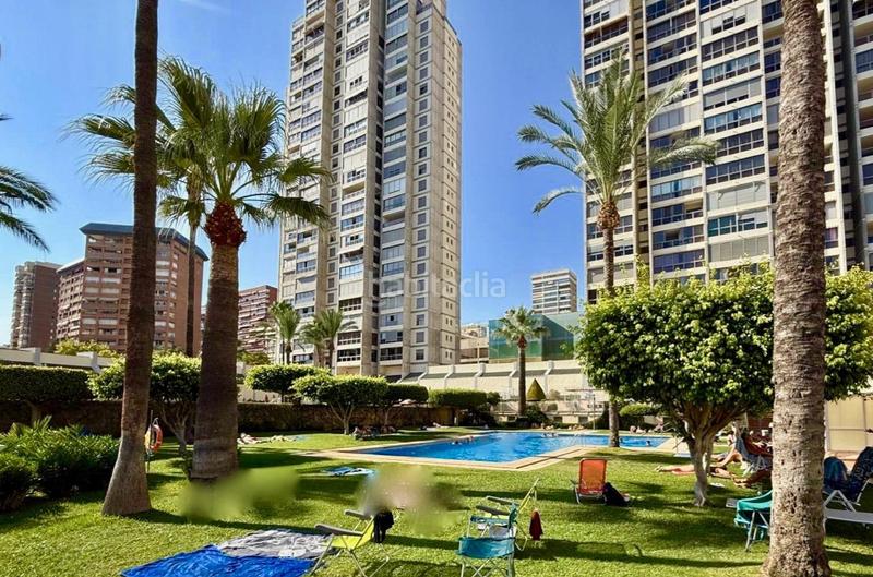 Foto bbae99ed-9ecc-4e8c-bf75-528863a307ef. Piccolo appartamento con piscina in Levante Alto Benidorm