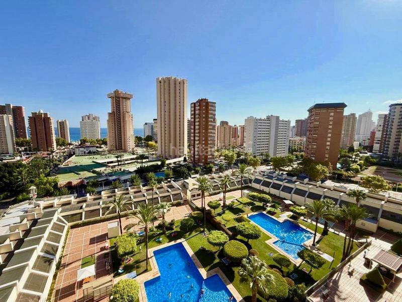 Foto da06bd6e-4a77-4ffa-826a-7c1de5a35ff0. Piccolo appartamento con piscina in Levante Alto Benidorm