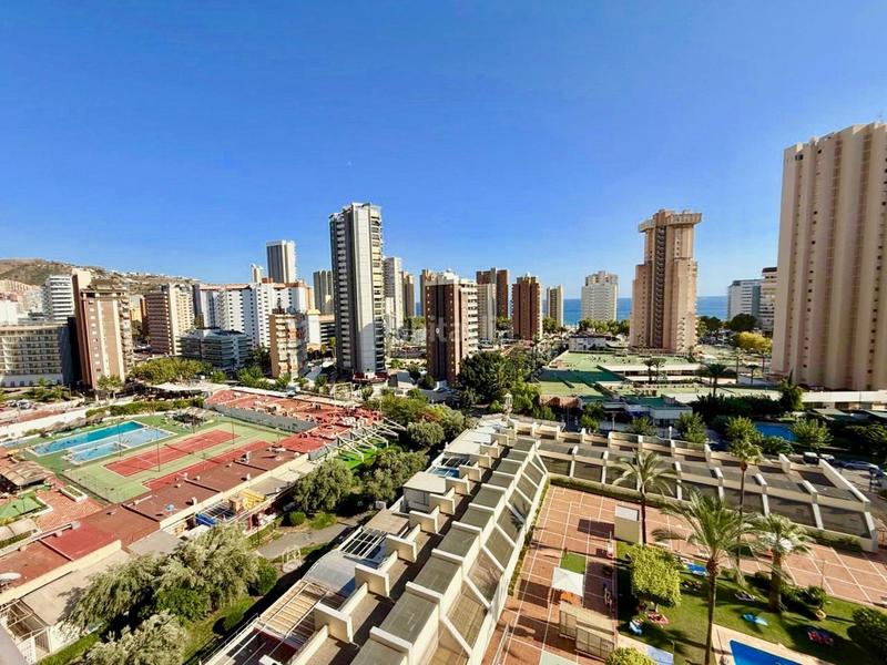 Foto f2549488-d62c-46f6-ad12-43056462c0b7. Piccolo appartamento con piscina in Levante Alto Benidorm