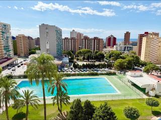 Apartament a Juzgados - Plaza de Toros. Estudio luminoso con piscina en urbanización privada  zona juzga