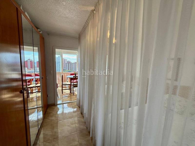 Foto 1199e903-dcac-4d64-b88a-48622f27338c. Estudio exclusiva estudio reformado, con piscina, parking y vistas zona juzgados en Benidorm