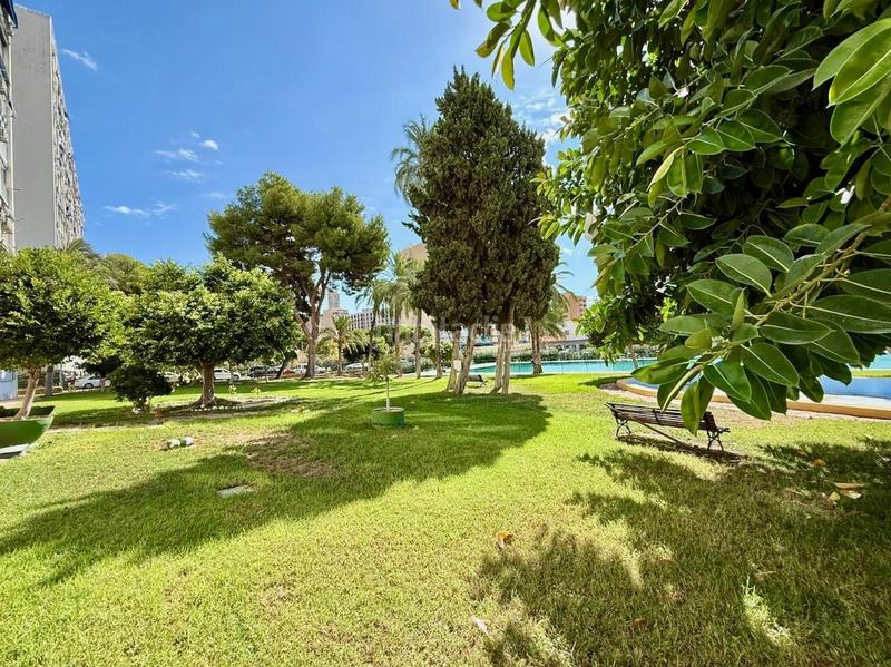Foto 21f2934d-b9c5-4269-958c-f0e48a903b31. Estudio exclusiva estudio reformado, con piscina, parking y vistas zona juzgados en Benidorm