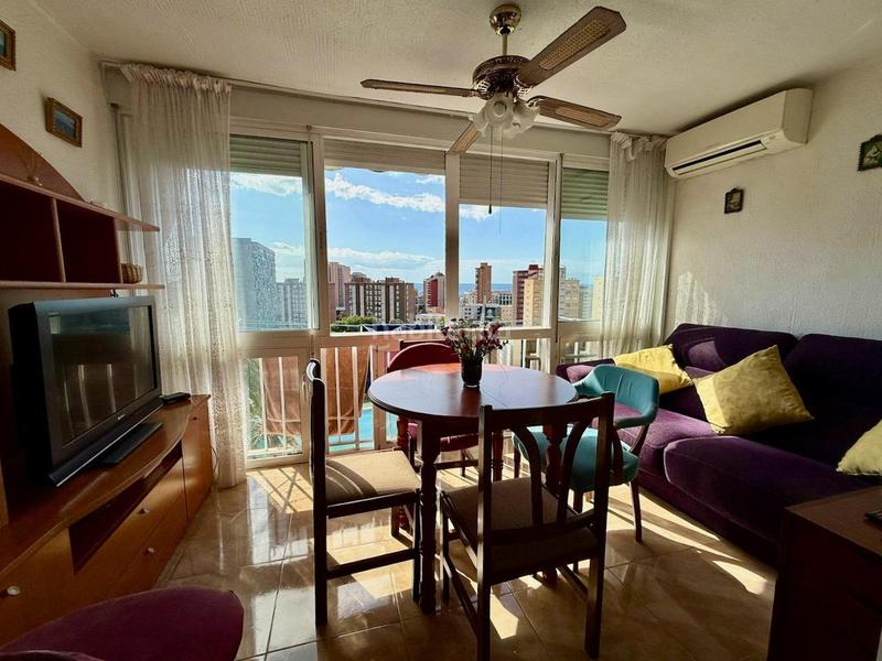 Foto 83c6832f-7cdc-438b-963b-2734837a9c65. Estudio exclusiva estudio reformado, con piscina, parking y vistas zona juzgados en Benidorm