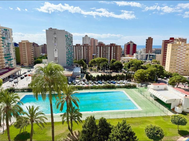 Foto a36eb422-ad36-40dd-8a67-9f21898a7671. Estudio exclusiva estudio reformado, con piscina, parking y vistas zona juzgados en Benidorm